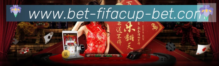 未来规划