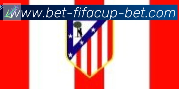 FIFA世界杯买球入口合作伙伴